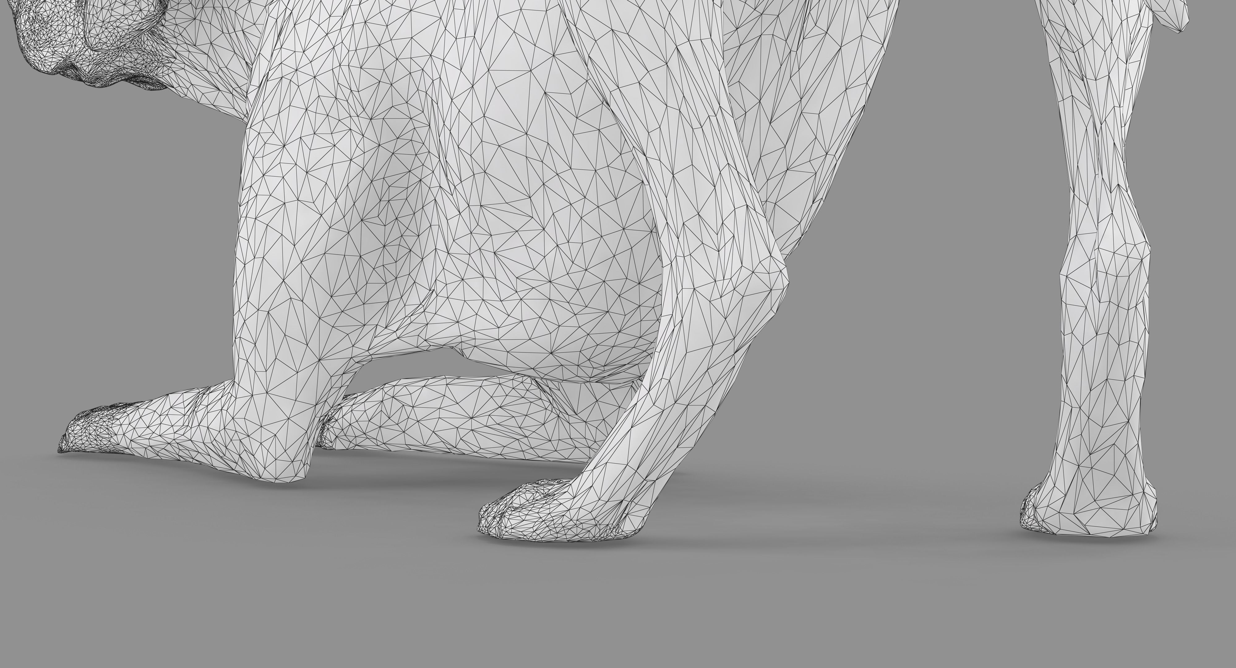 Dalmatian Dog Pose 3D model_52