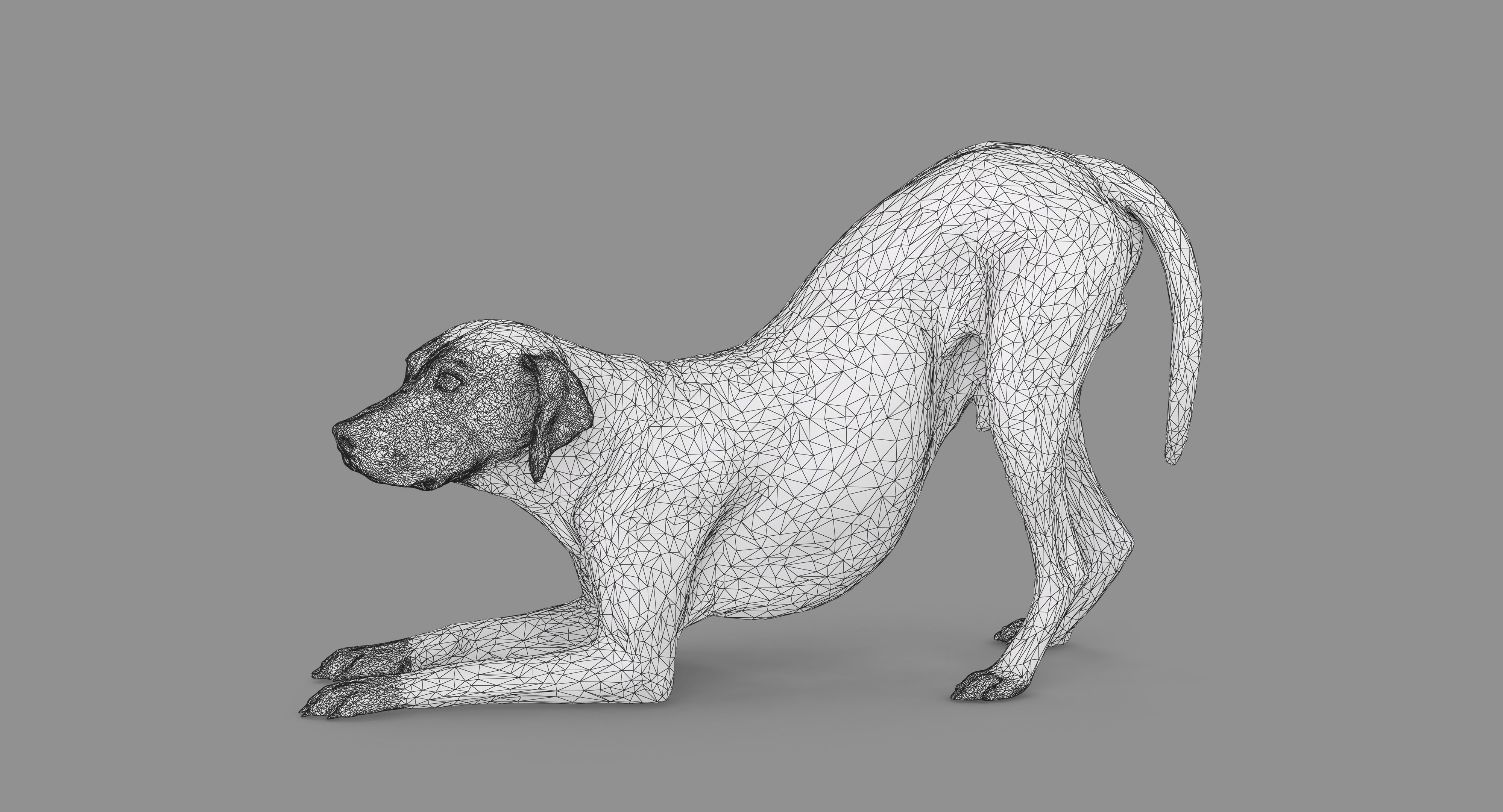 Dalmatian Dog Pose 3D model_104
