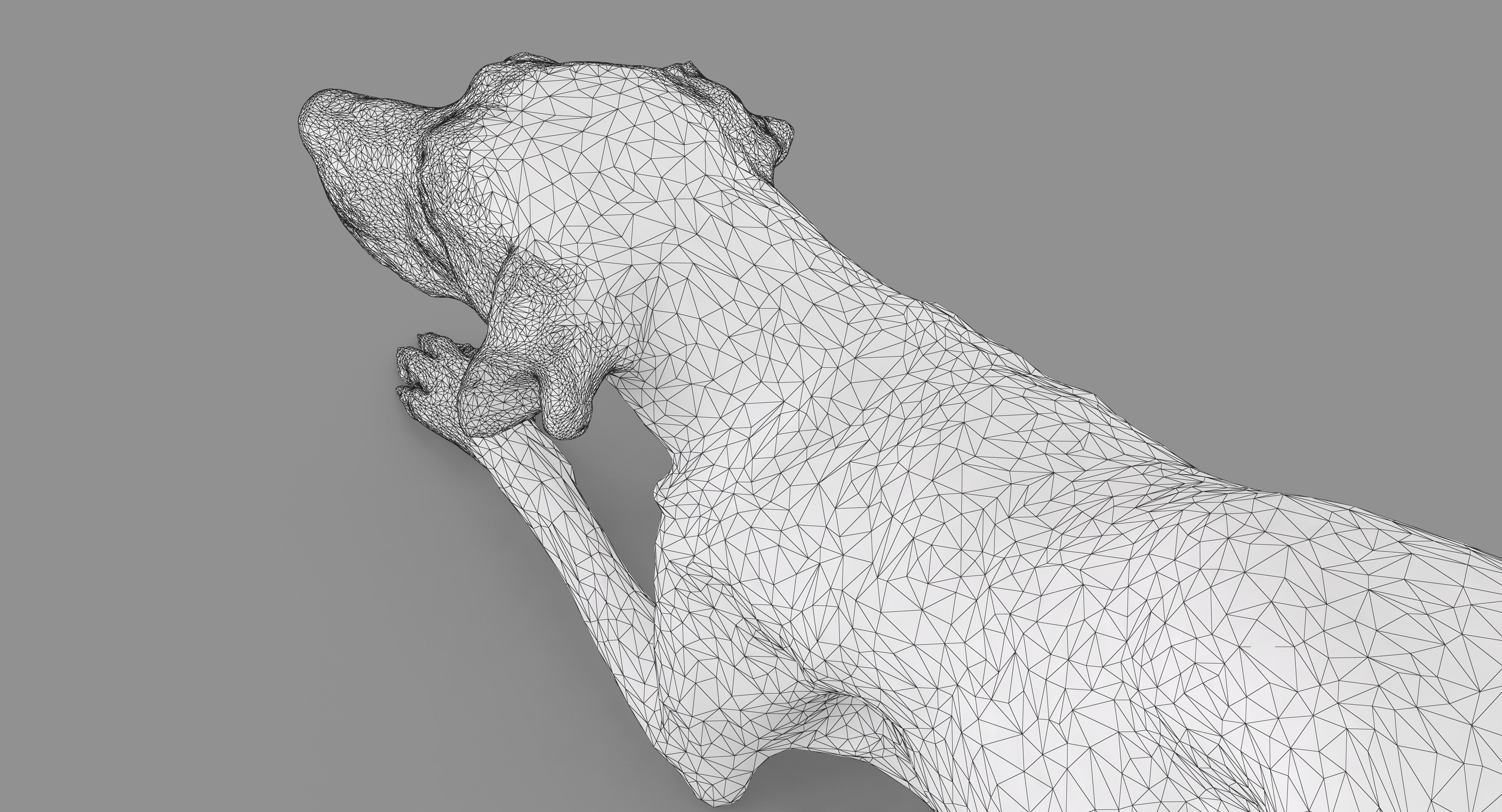 Dalmatian Dog Pose 3D model_56