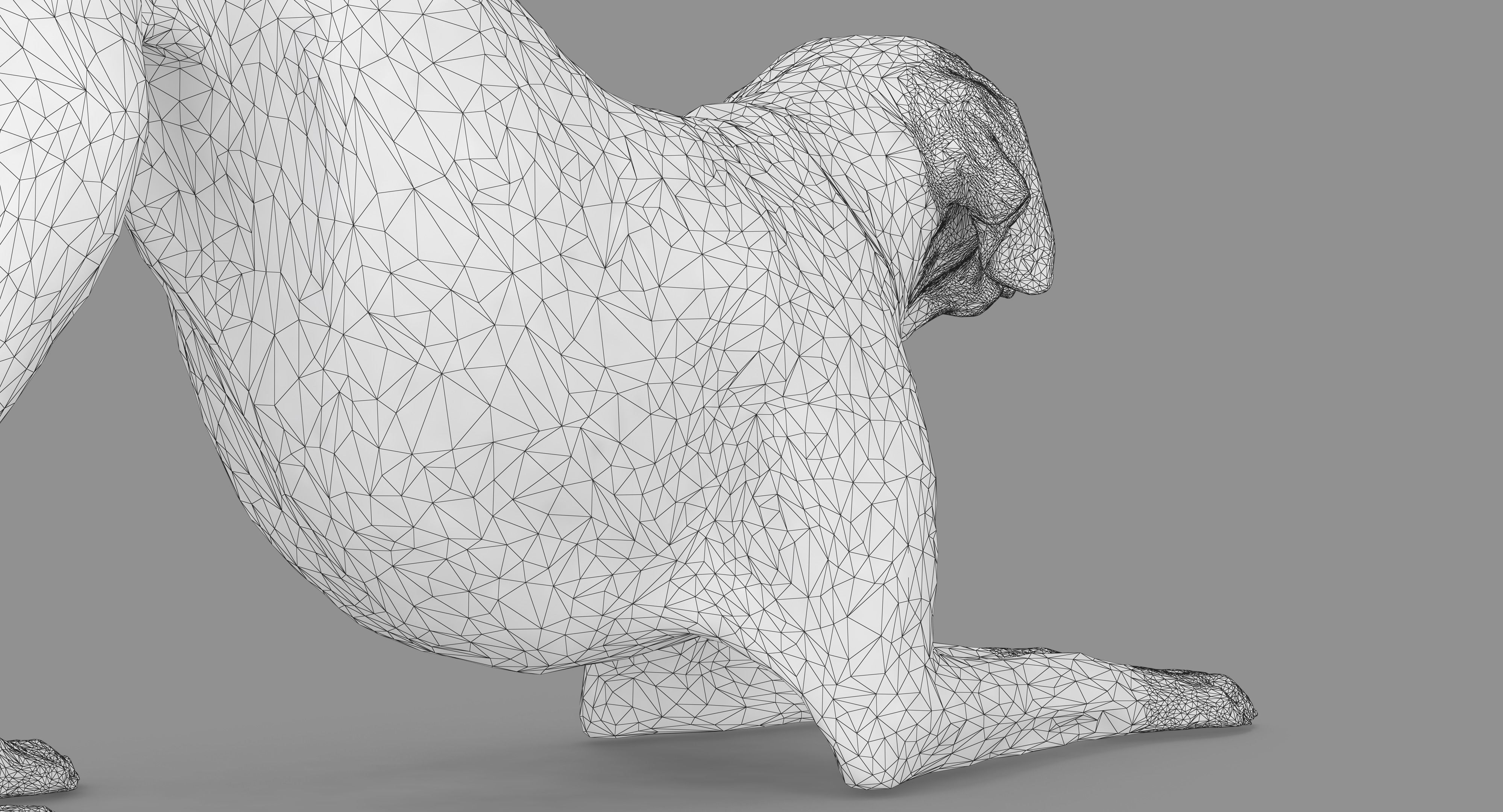 Dalmatian Dog Pose 3D model_46