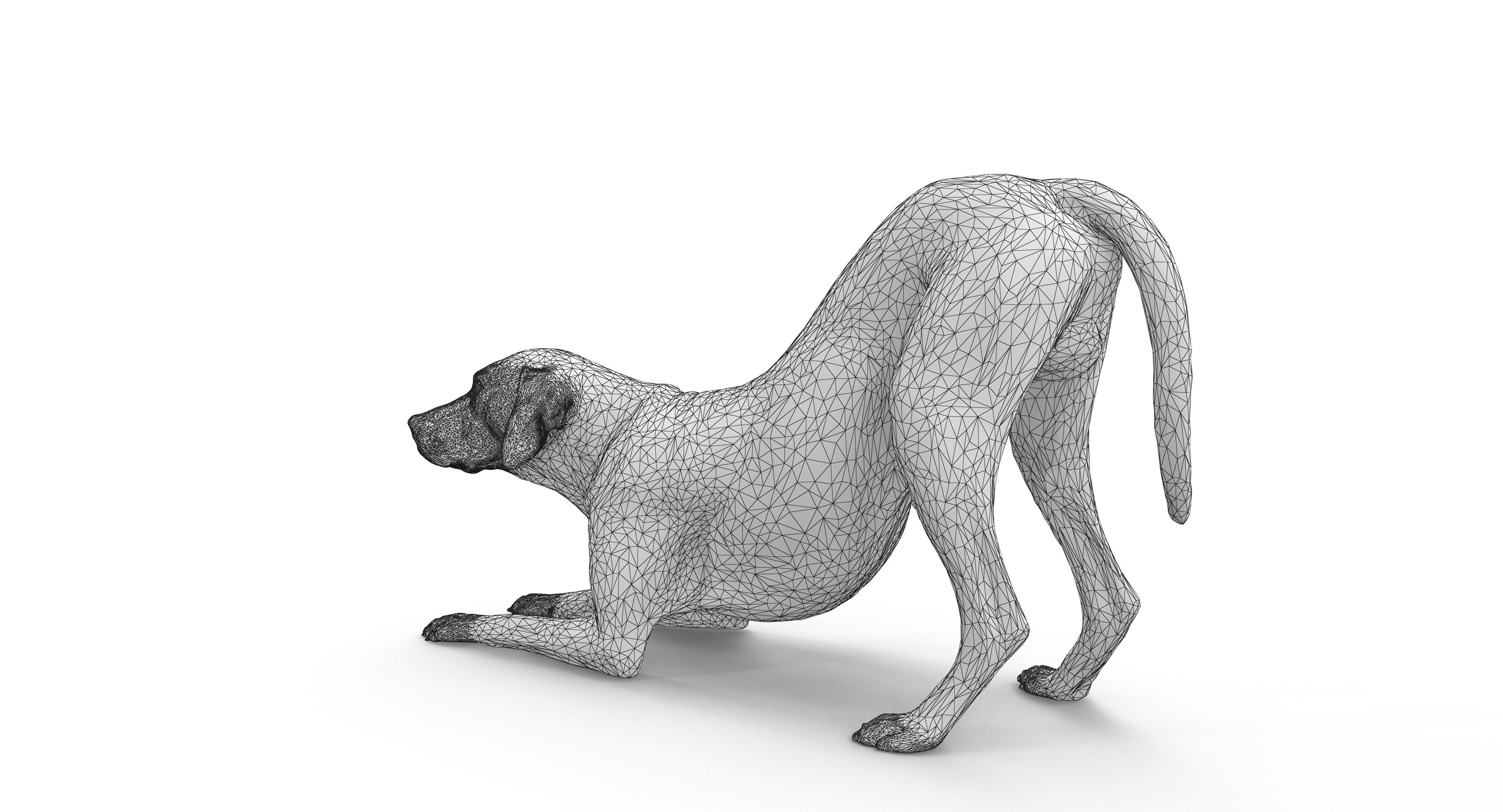 Dalmatian Dog Pose 3D model_20