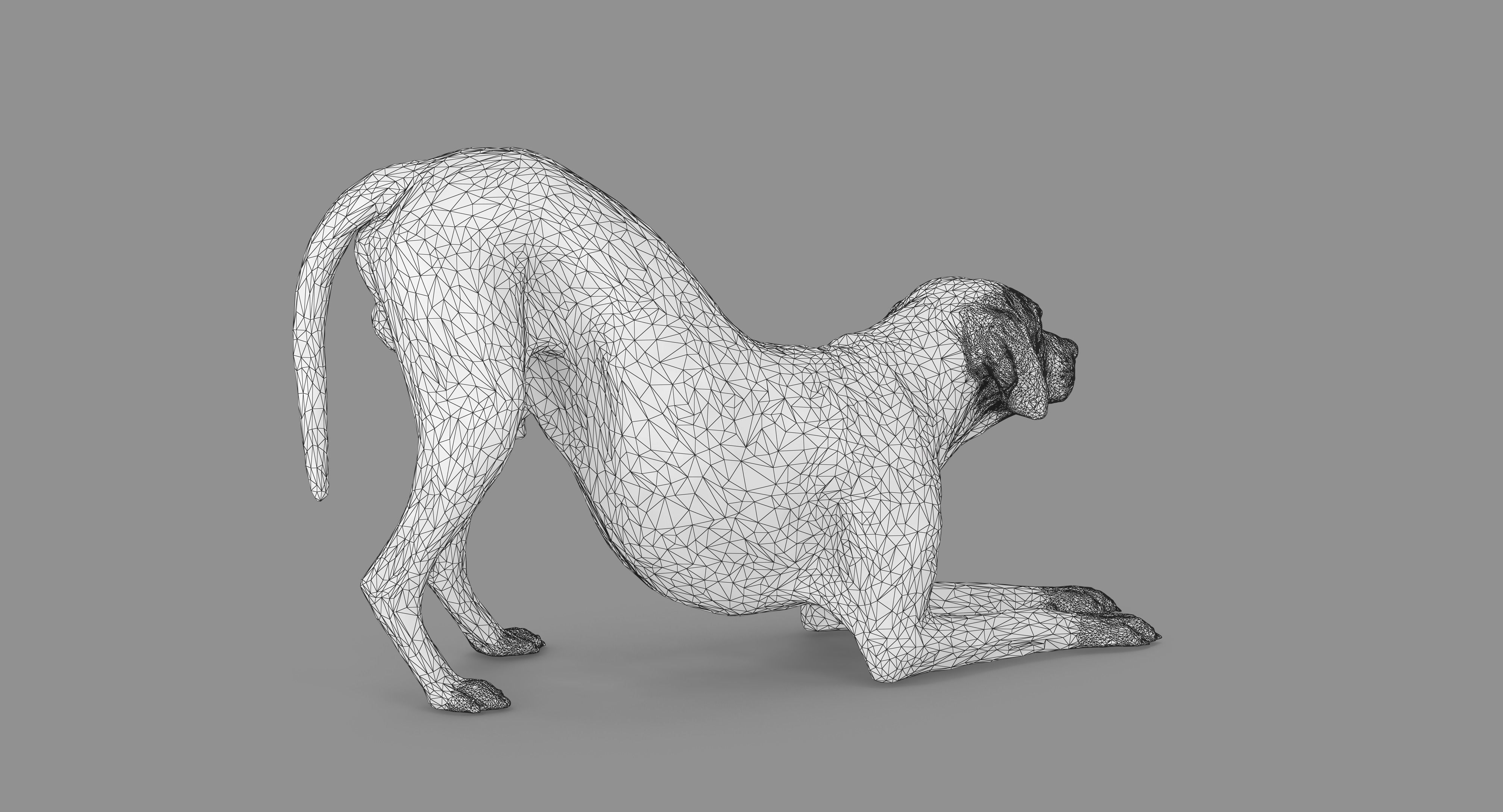 Dalmatian Dog Pose 3D model_82