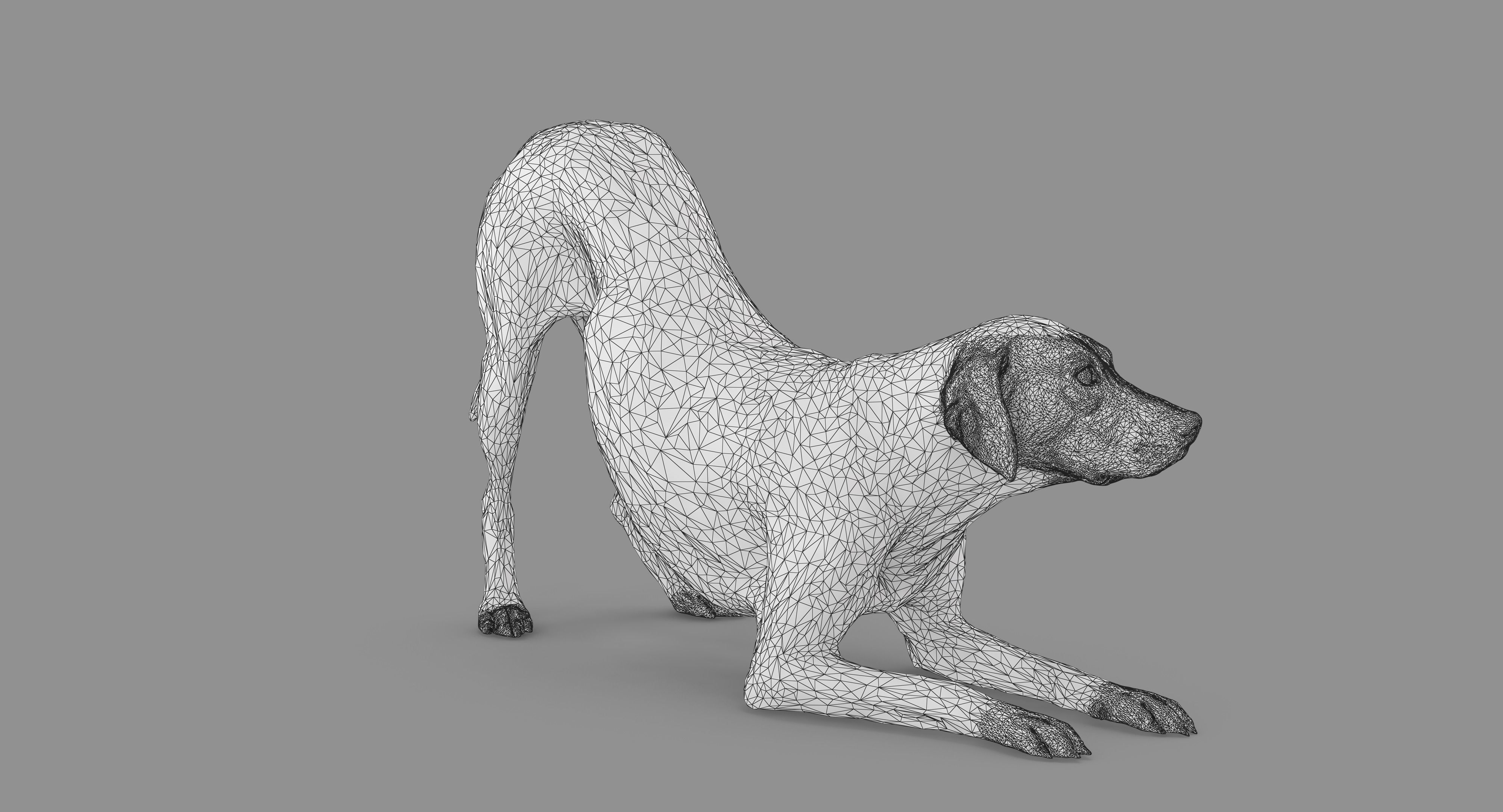 Dalmatian Dog Pose 3D model_74