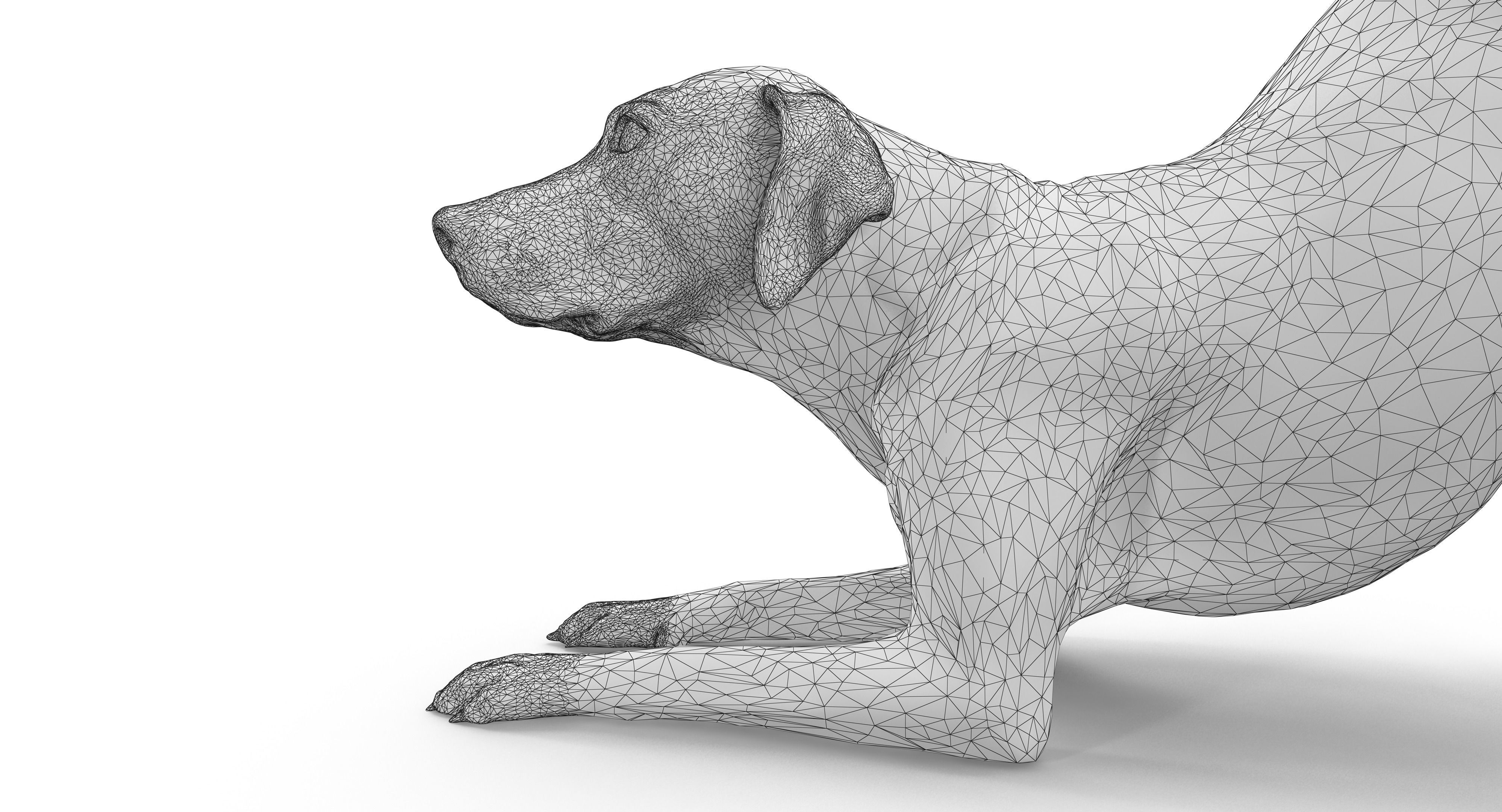 Dalmatian Dog Pose 3D model_12