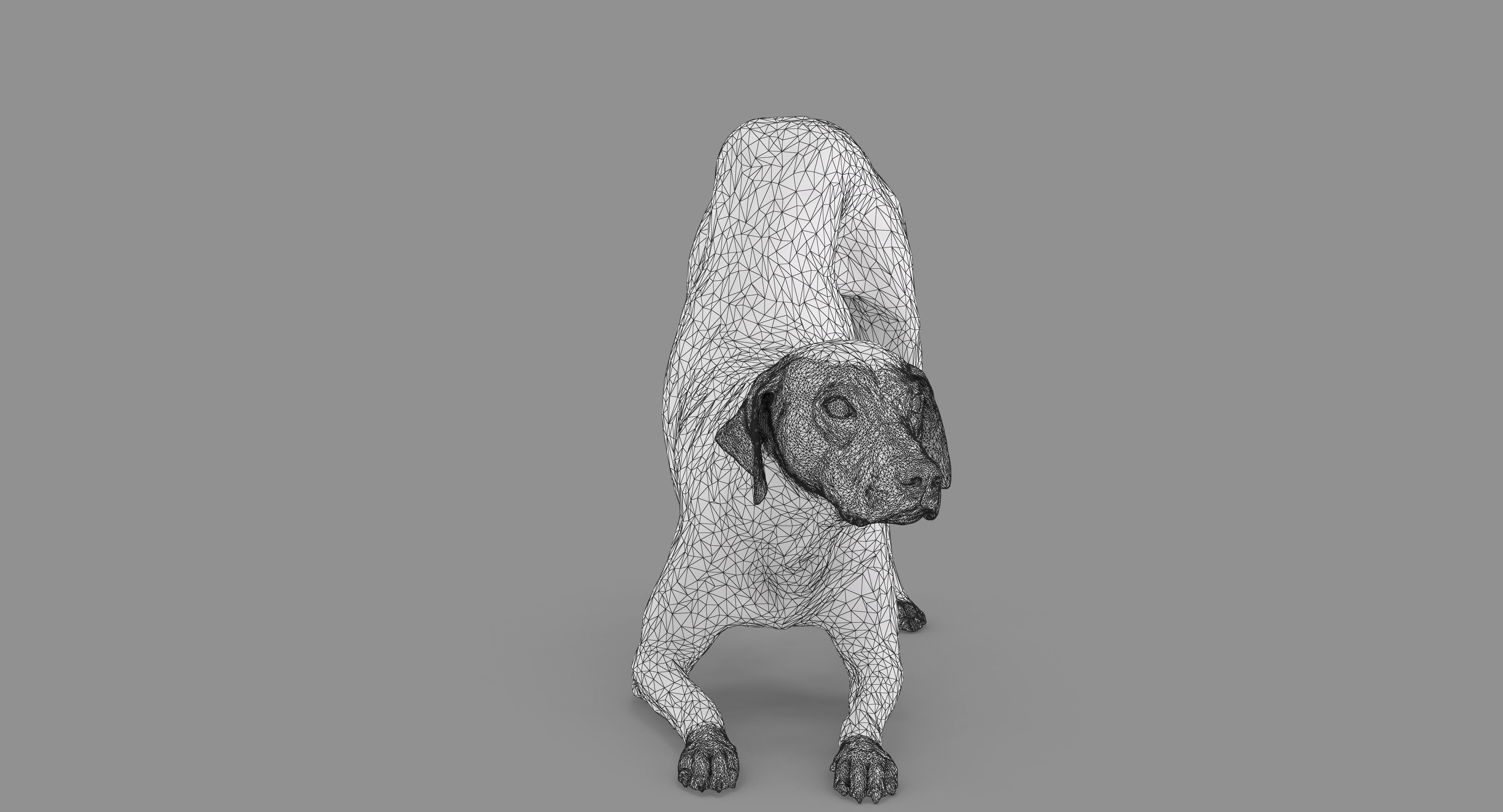 Dalmatian Dog Pose 3D model_68