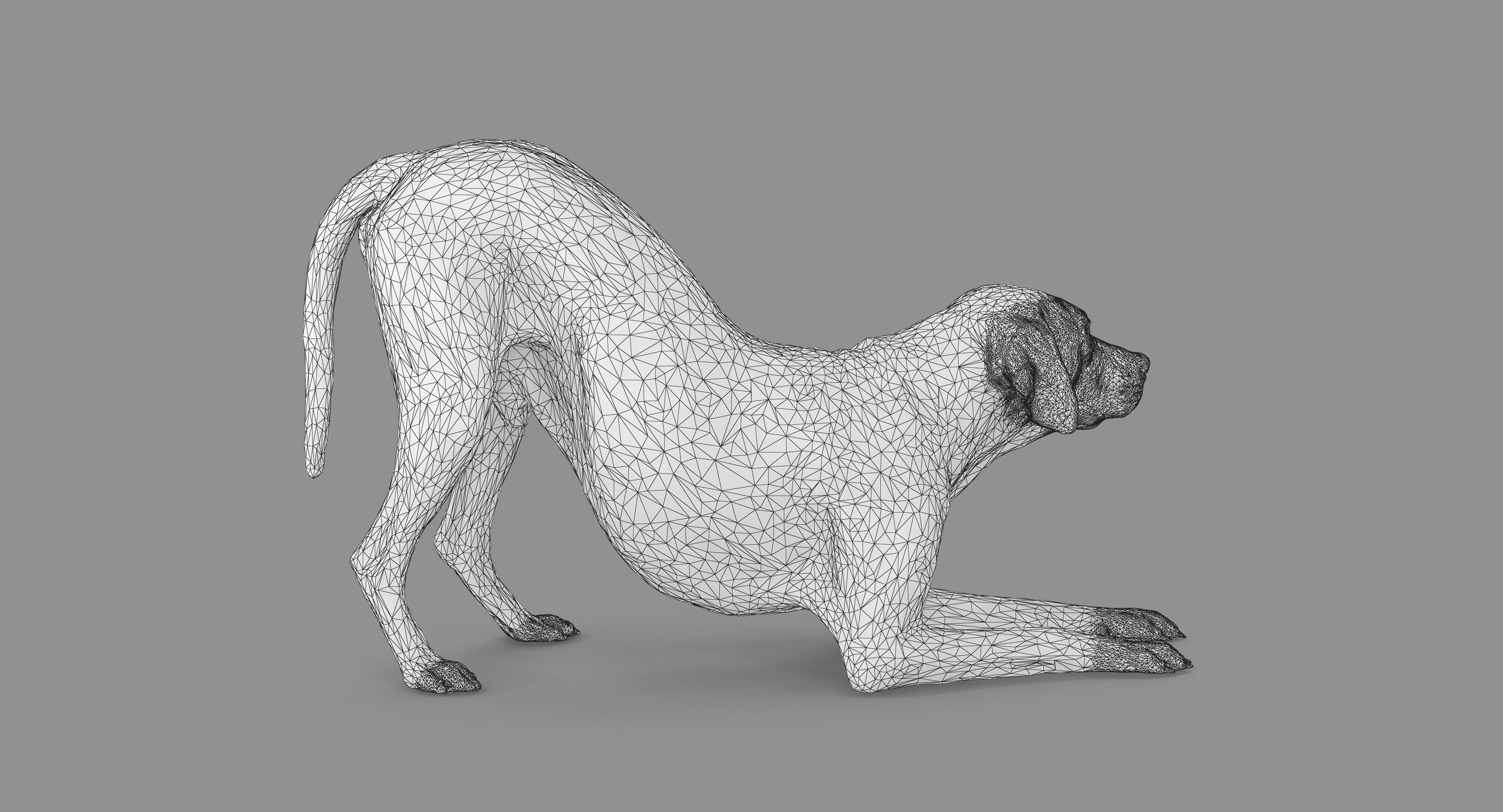Dalmatian Dog Pose 3D model_80