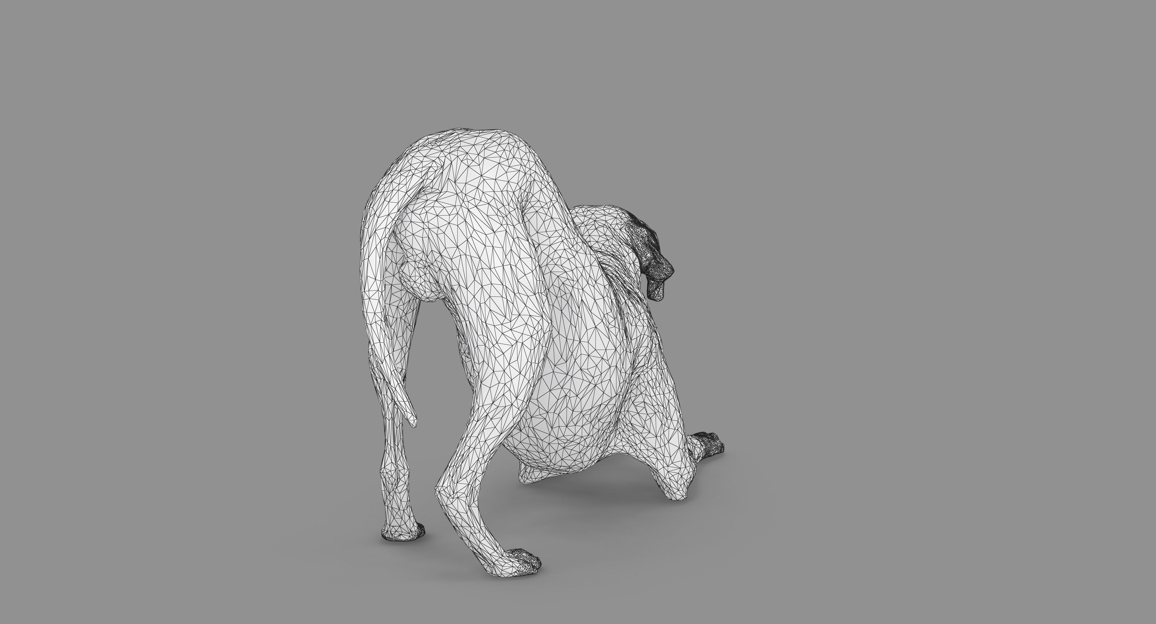 Dalmatian Dog Pose 3D model_88