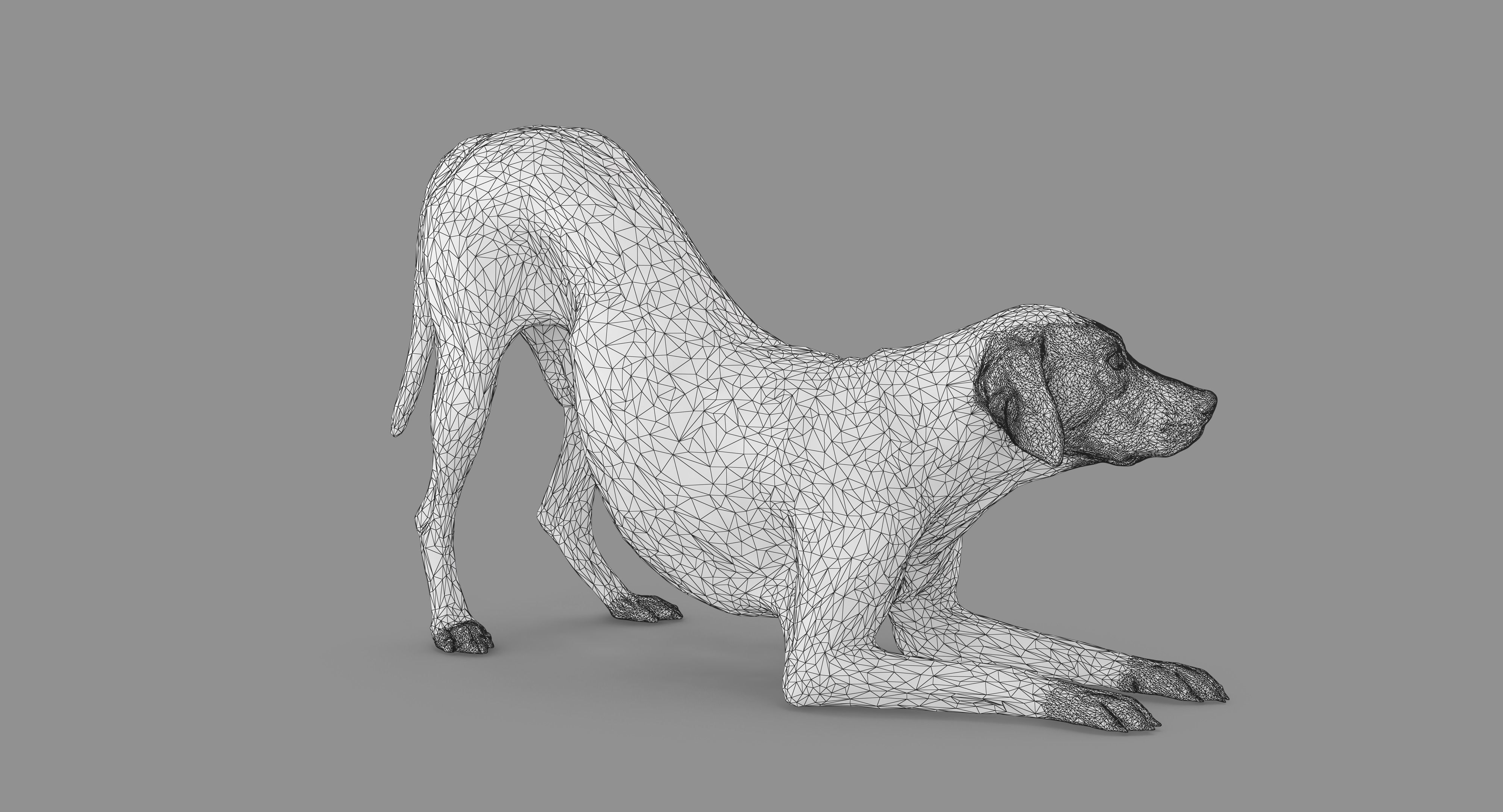 Dalmatian Dog Pose 3D model_76