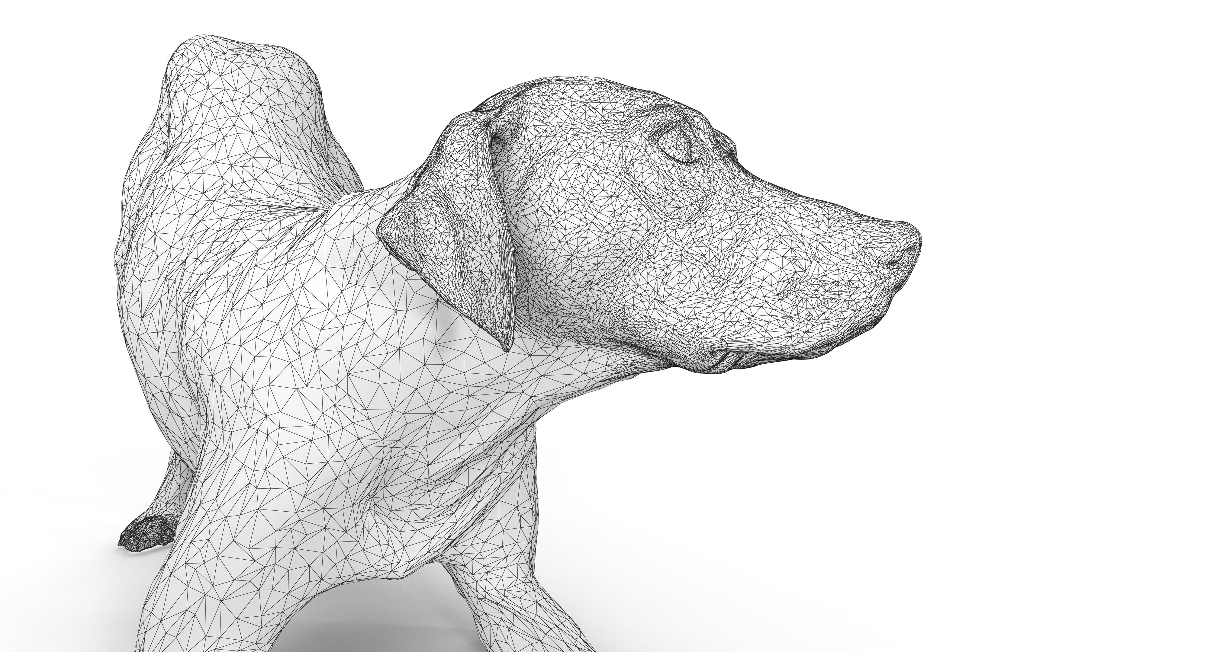 Dalmatian Dog Pose 3D model_14