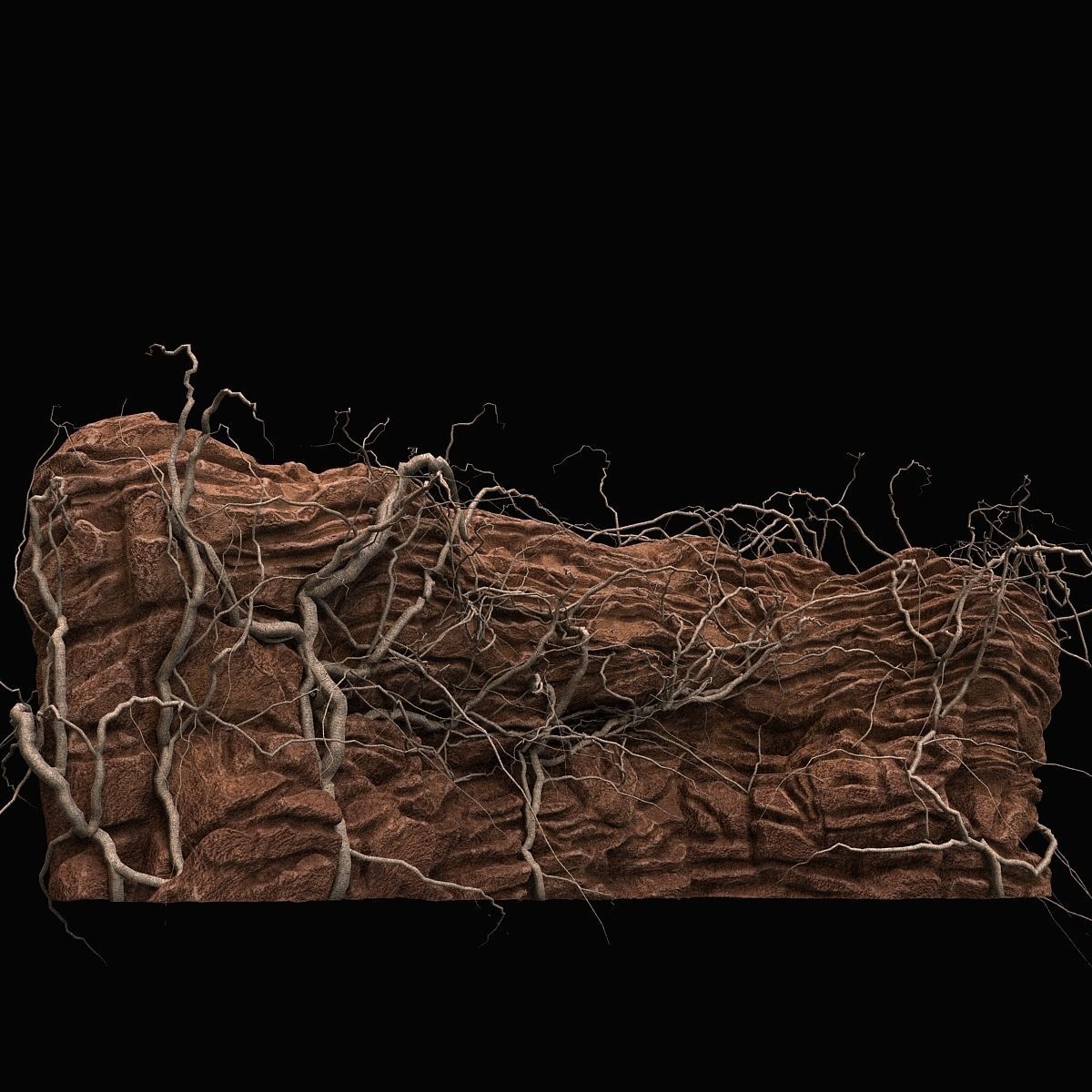 Desert cliff 3D model_3