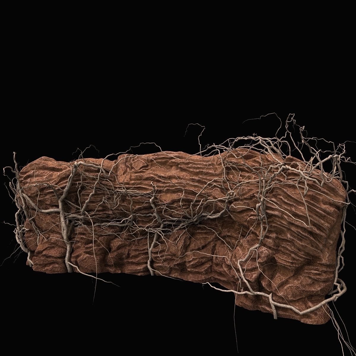 Desert cliff 3D model_1