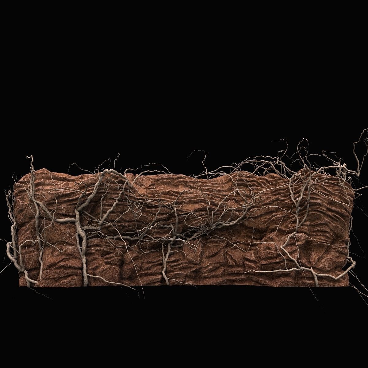 Desert cliff 3D model_6