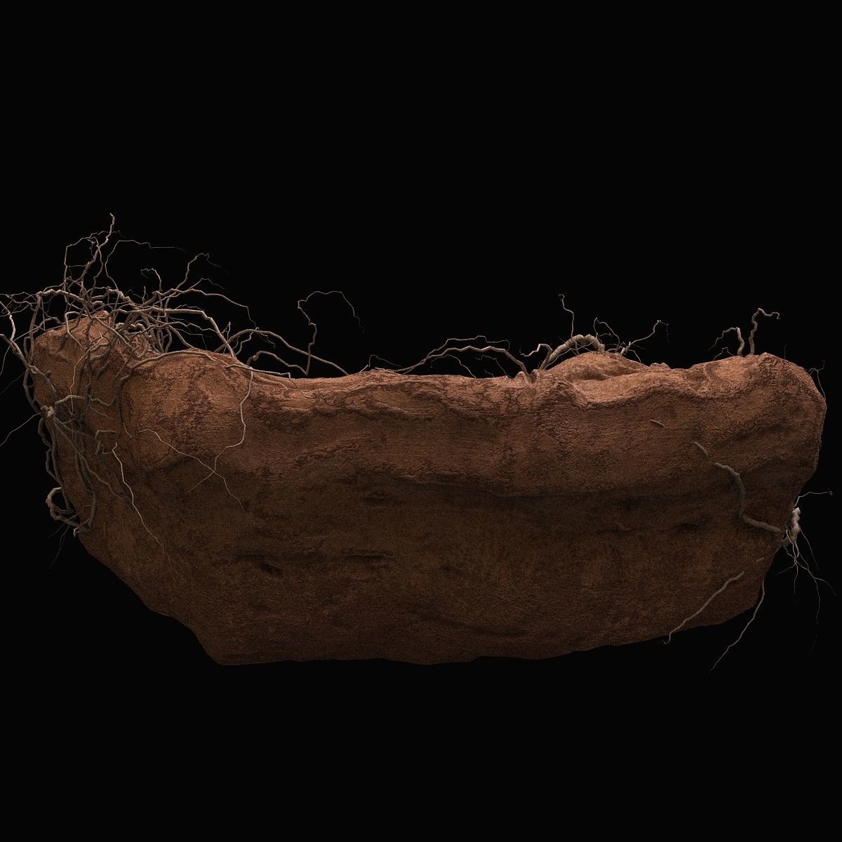 Desert cliff 3D model_4