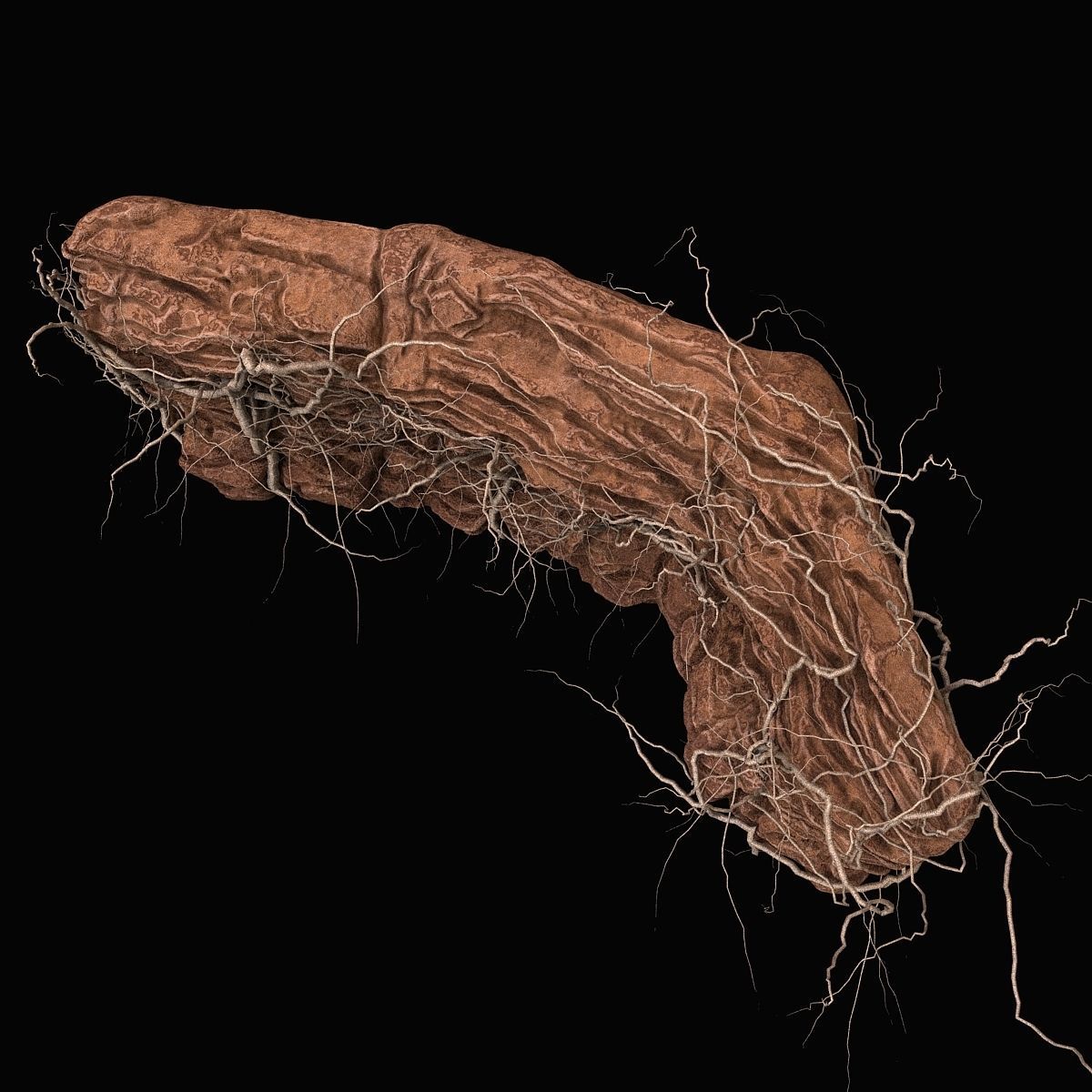 Desert cliff 3D model_2