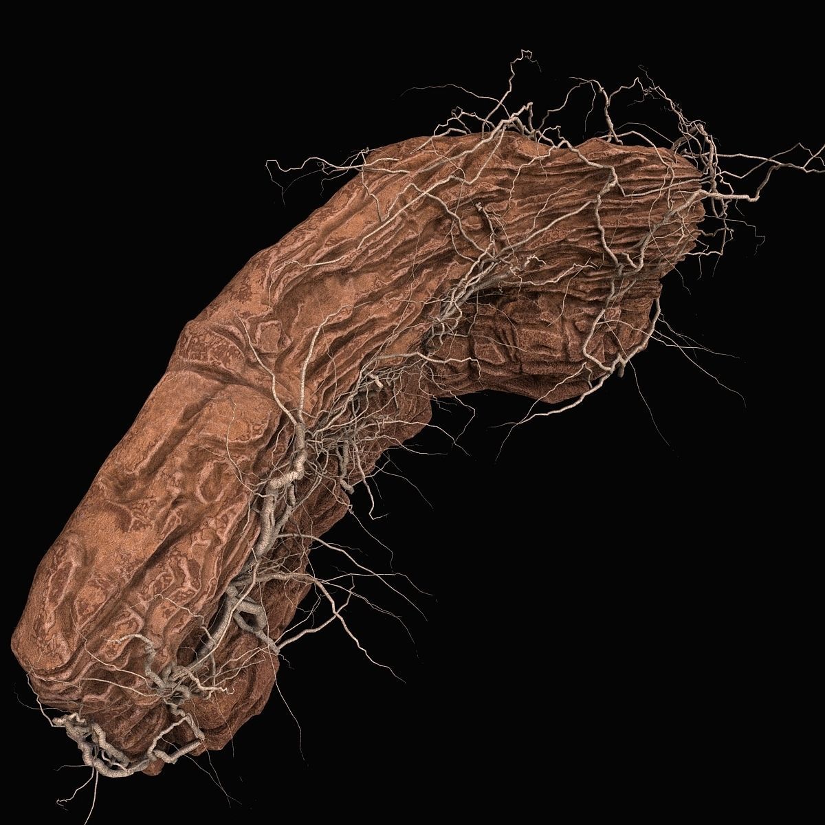 Desert cliff 3D model_5