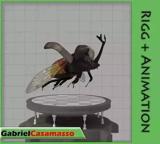Rhinoceros Beetle Low-poly 3D model