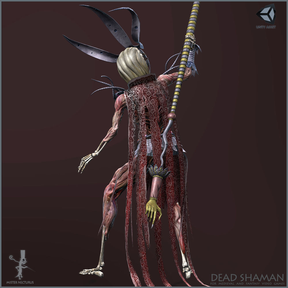 Dead Shaman Light Version Low-poly 3D model_5