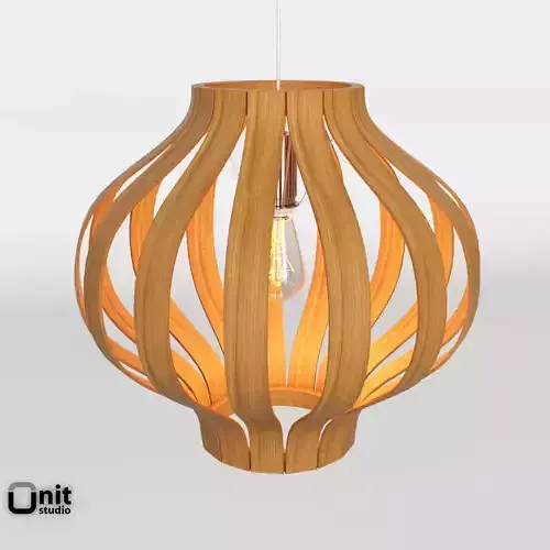 Bentwood Onion Pendant by West Elm  3D model