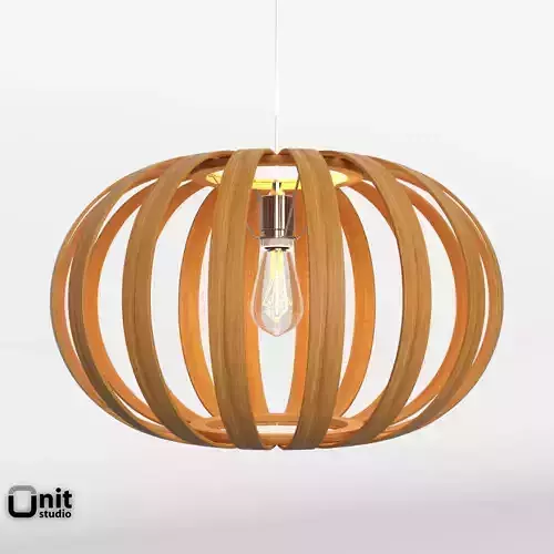 Bentwood Pendant Oblong by West Elm  3D model