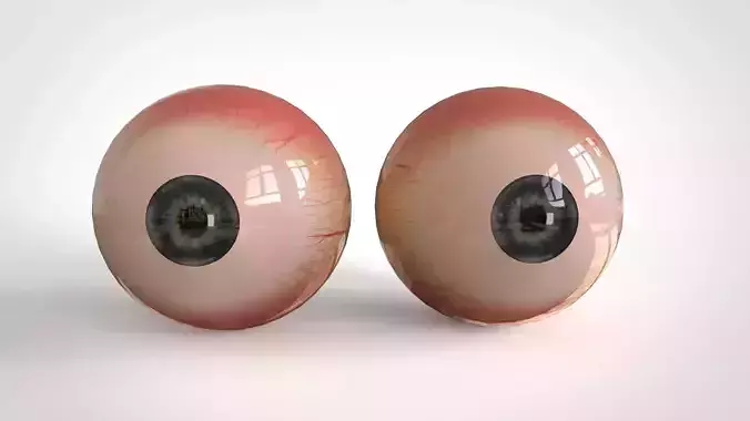 Realistic  Human Eye Free 3D model
