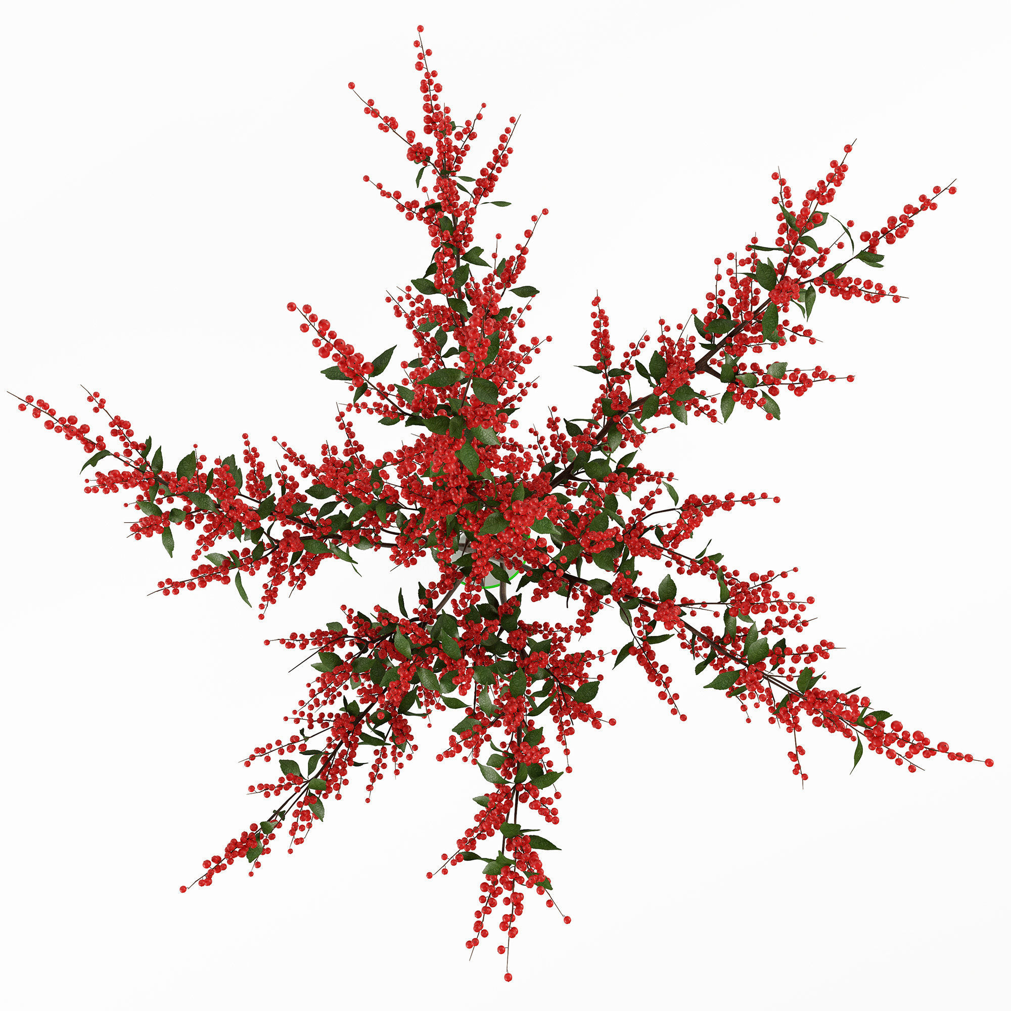 Branches in a vase 004 3D model_7