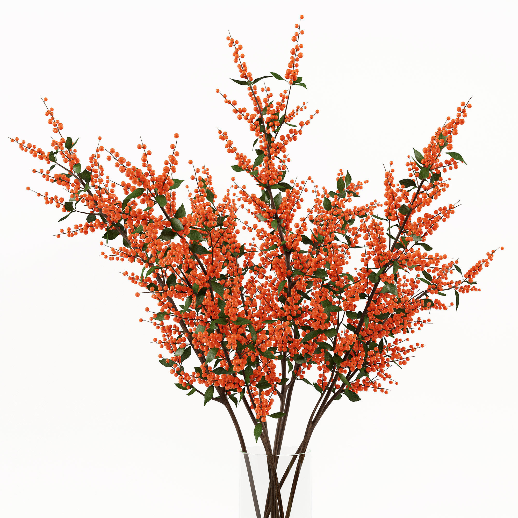 Branches in a vase 004 3D model_2