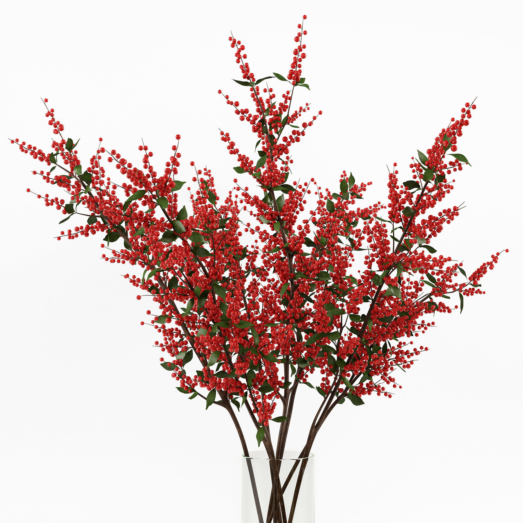 Branches in a vase 004 3D model_1