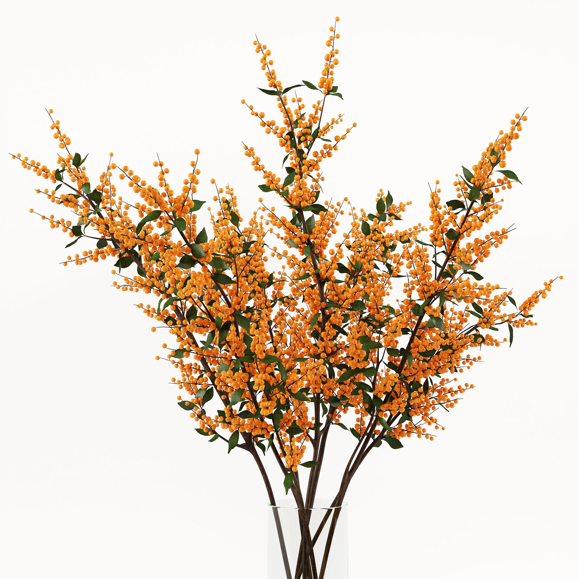Branches in a vase 004 3D model_3