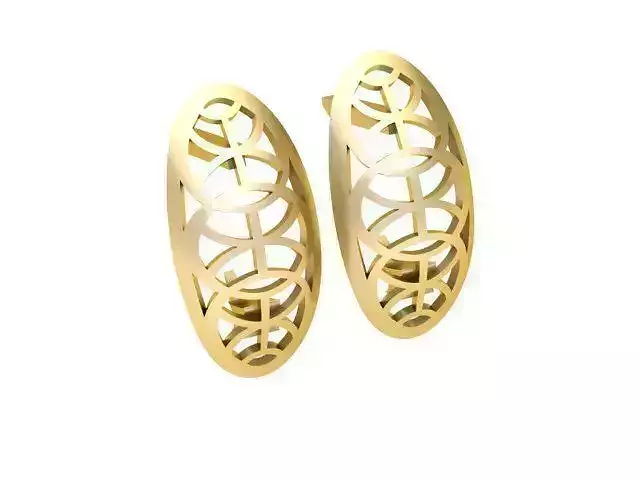 Earrings T01242