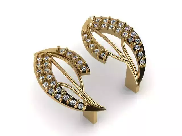 Earrings T01247