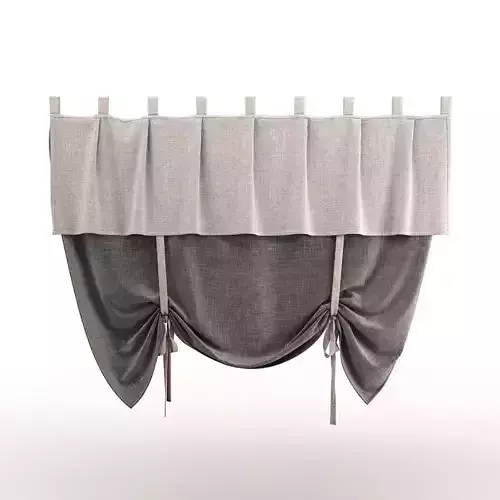 curtain 22-2 3D model
