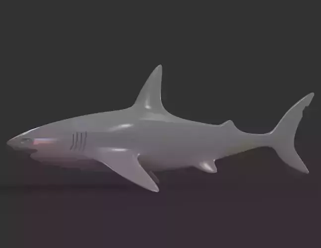 Shark
