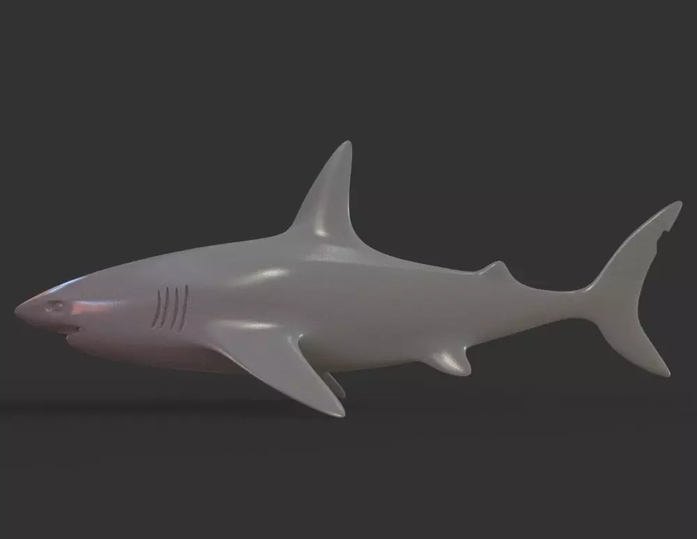 Shark 3D print model_0