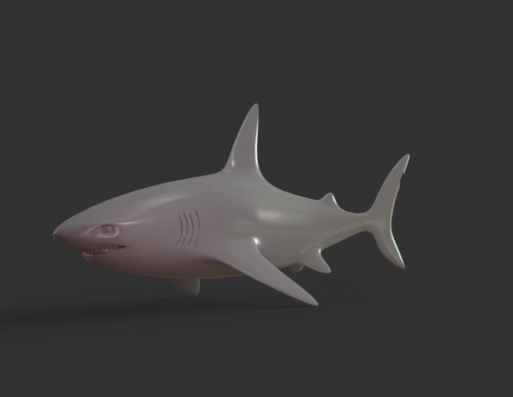 Shark 3D print model_7