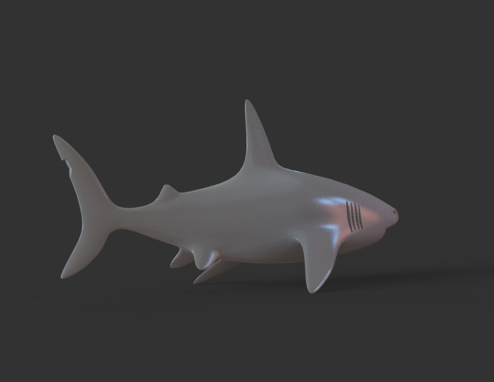 Shark 3D print model_3