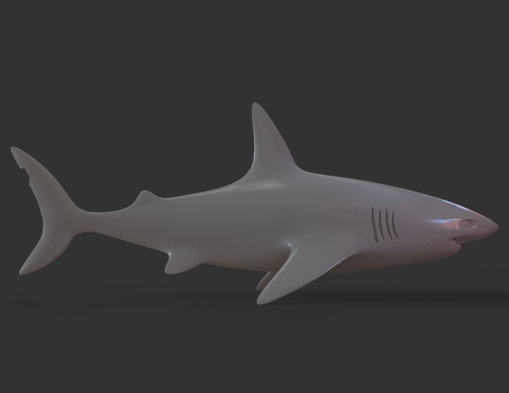 Shark 3D print model_4