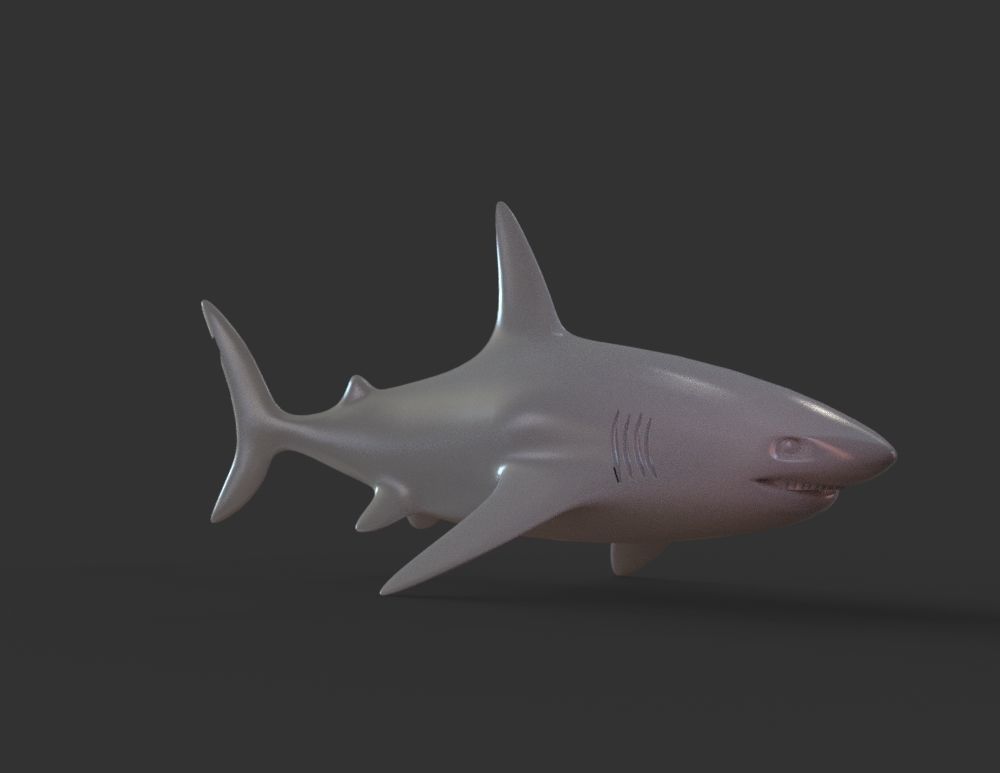 Shark 3D print model_5