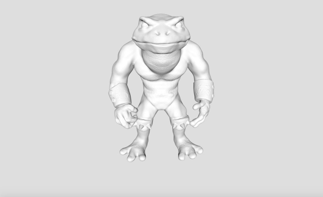 Battletoads Custom Action Figure 3D print model 3D print model