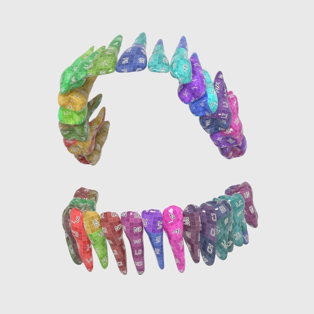 Photorealistic human teeth Low-poly 3D model_18