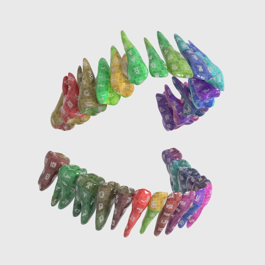 Photorealistic human teeth Low-poly 3D model_17