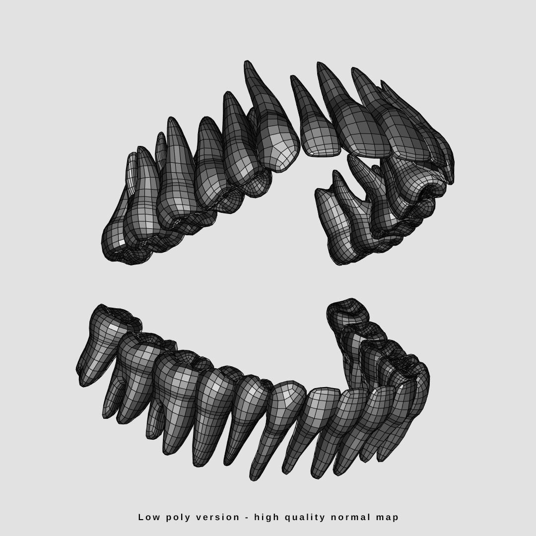 Photorealistic human teeth Low-poly 3D model_15