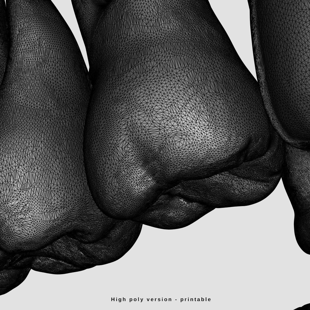 Photorealistic human teeth Low-poly 3D model_16