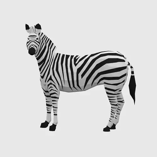 Zebras zebra Low-poly 3D model