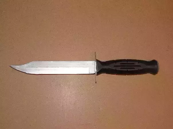 NR-43 vishnya knife