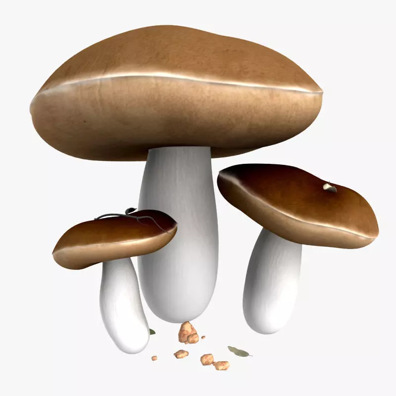 Mushroom Free low-poly 3D model