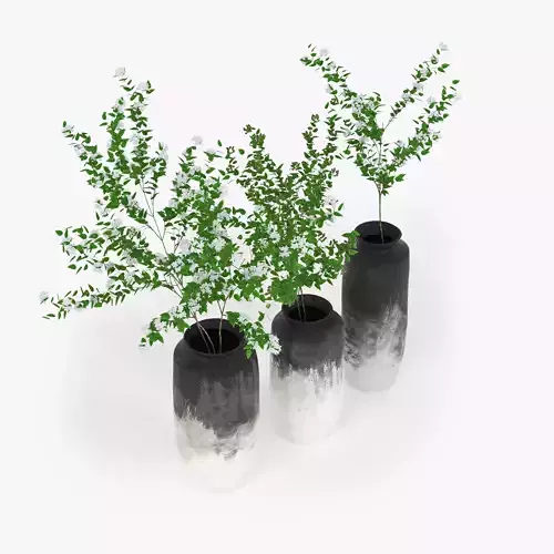 Branch three vases with plants