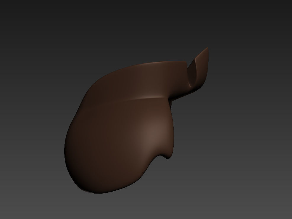 Hair 3d model cat 3D model_4