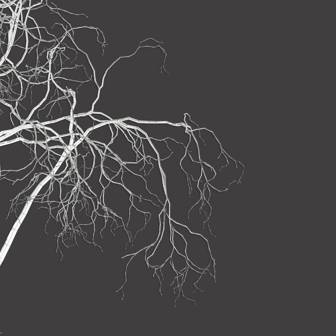 Tree Hazel red 01 3D model_7