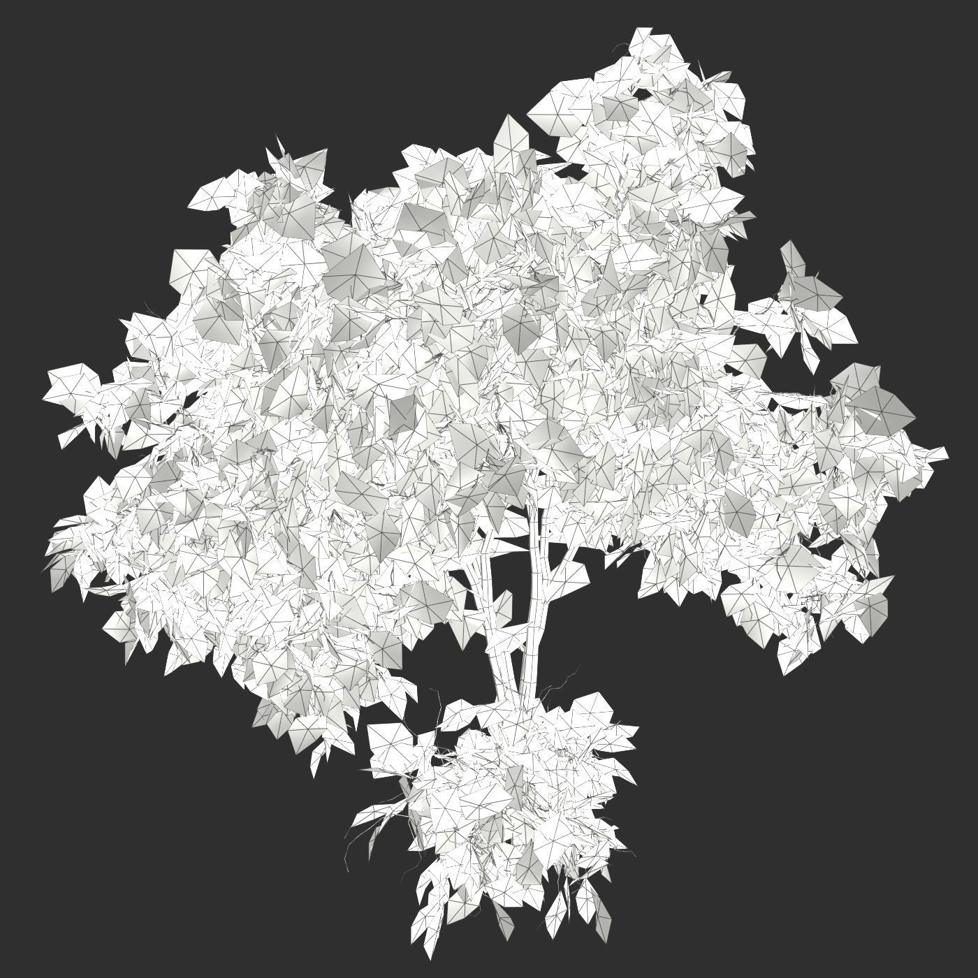 Tree Hazel red 01 3D model_3