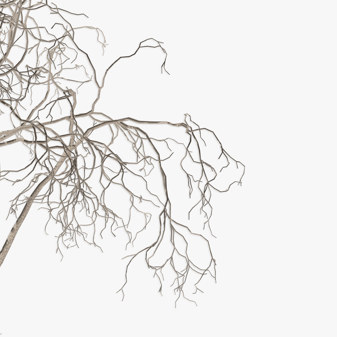 Tree Hazel red 01 3D model_6